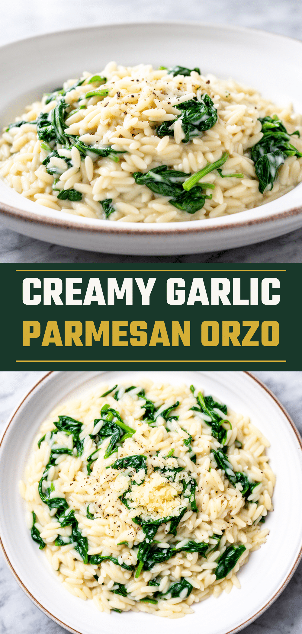 Creamy Garlic Parmesan Orzo: Easy Family Dinner 5 creamy garlic parmesan orzo recipe