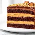 Reeses Peanut Butter Chocolate Layer Cake - featured image