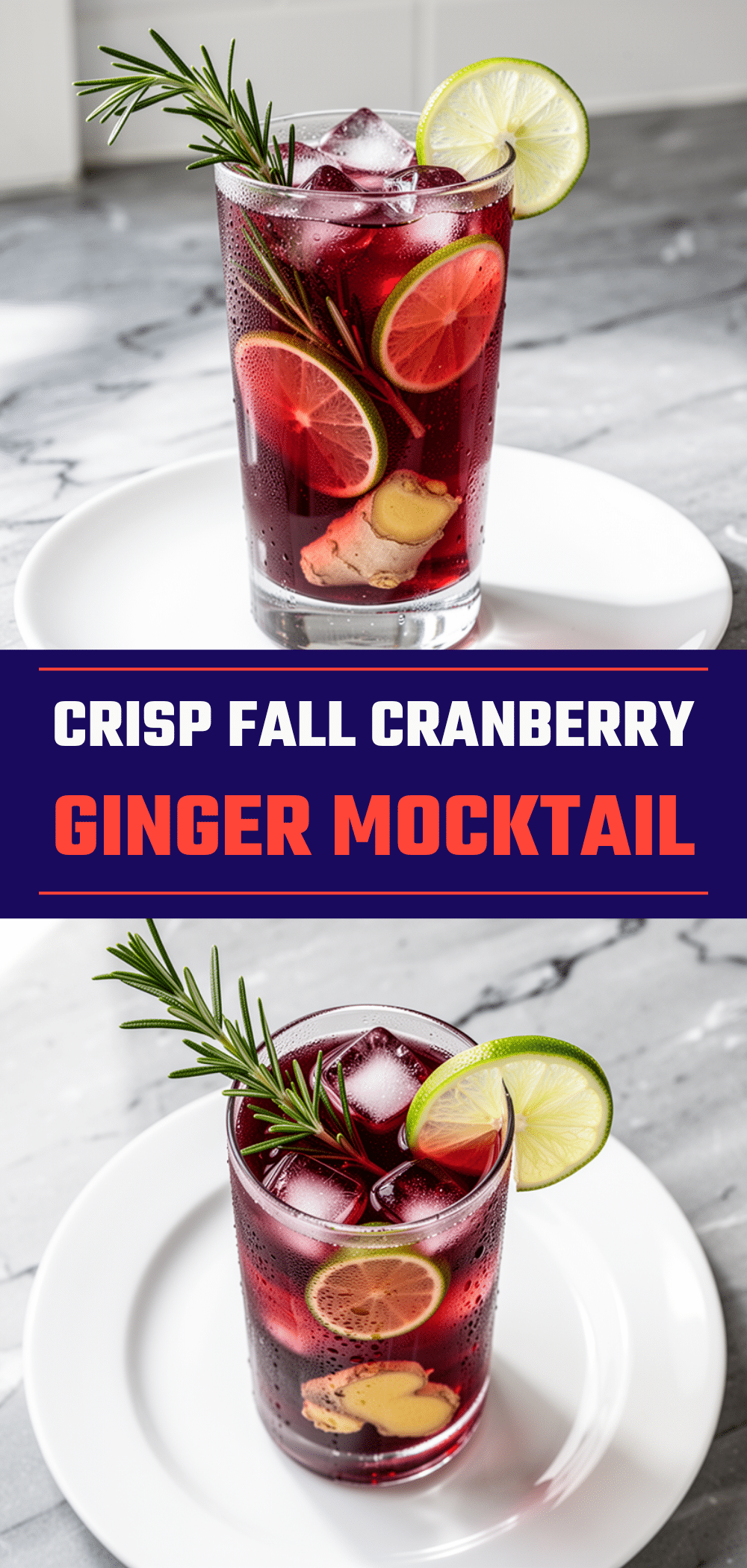 Fall Cranberry Ginger Mocktail: Easy 4-Ingredient Party Drink 5 fall cranberry ginger mocktail recipe