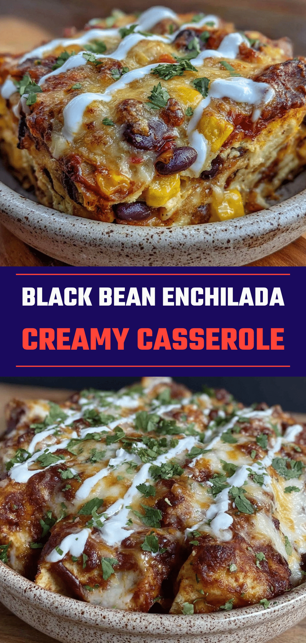 Vegetarian Black Bean Enchilada Casserole: 5pm Dinner Solved 5 vegetarian black bean enchilada casserole recipe